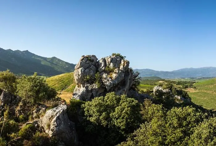 Residences Canta Furmigula Вилла Патримонио